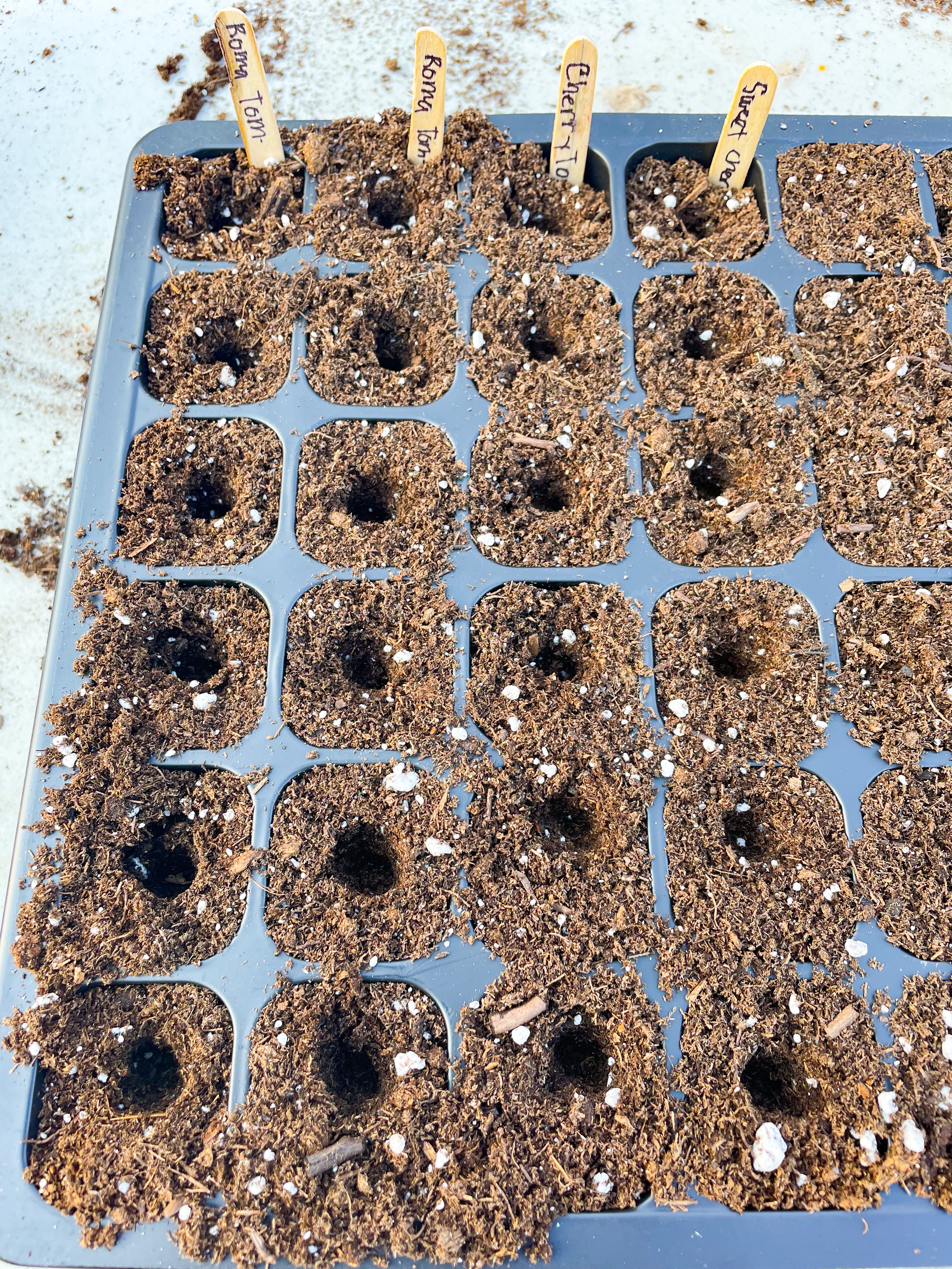 seed starting tray filled with soil with seeds