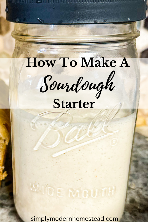 sourdough starter in jar