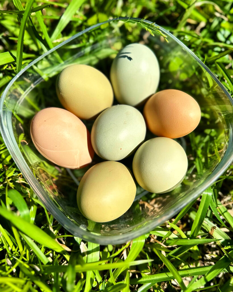 multicolored eggs in the grass
