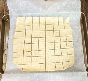 sourdough cracker dough rolled out and cut into squares